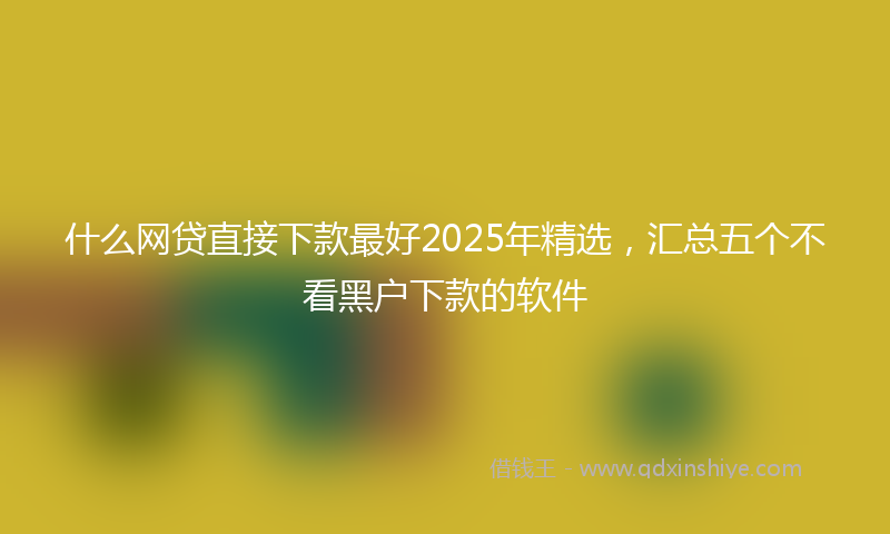 什么网贷直接下款最好2025年精选，汇总五个不看黑户下款的软件