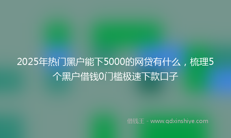 2025年热门黑户能下5000的网贷有什么，梳理5个黑户借钱0门槛极速下款口子
