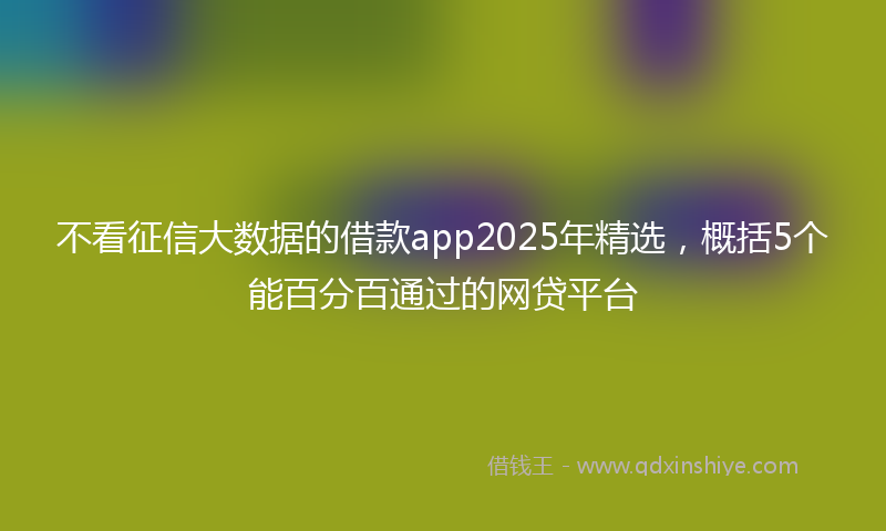 不看征信大数据的借款app2025年精选，概括5个能百分百通过的网贷平台