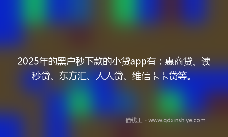 2025年的黑户秒下款的小贷app有：惠商贷、读秒贷、东方汇、人人贷、维信卡卡贷等。