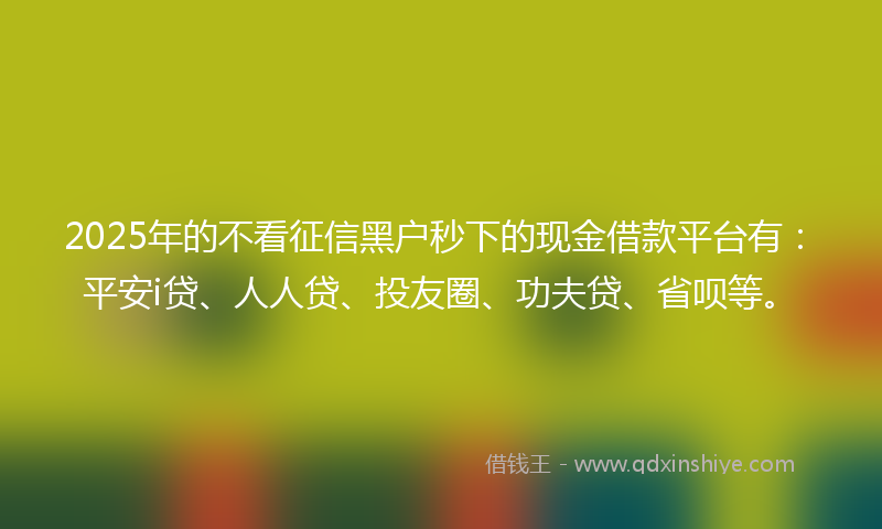 2025年的不看征信黑户秒下的现金借款平台有：平安i贷、人人贷、投友圈、功夫贷、省呗等。