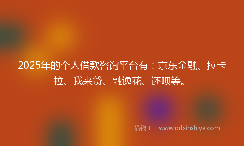2025年的个人借款咨询平台有：京东金融、拉卡拉、我来贷、融逸花、还呗等。