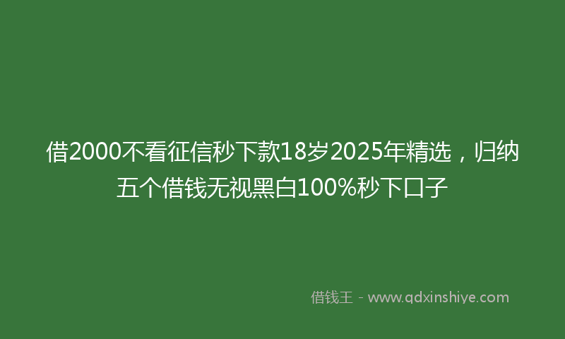 借2000不看征信秒下款18岁2025年精选，归纳五个借钱无视黑白100%秒下口子