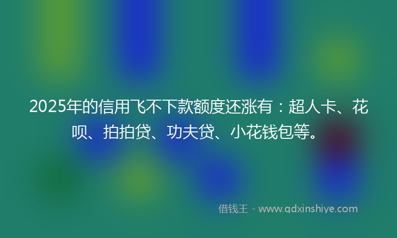 2025年的信用飞不下款额度还涨有：超人卡、花呗、拍拍贷、功夫贷、小花钱包等。