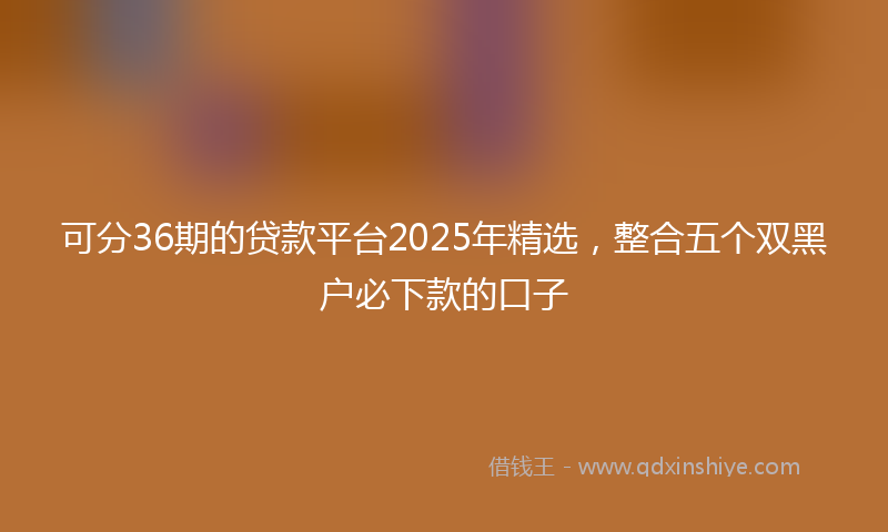可分36期的贷款平台2025年精选，整合五个双黑户必下款的口子