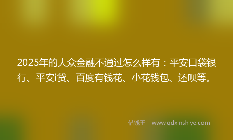 2025年的大众金融不通过怎么样有：平安口袋银行、平安i贷、百度有钱花、小花钱包、还呗等。