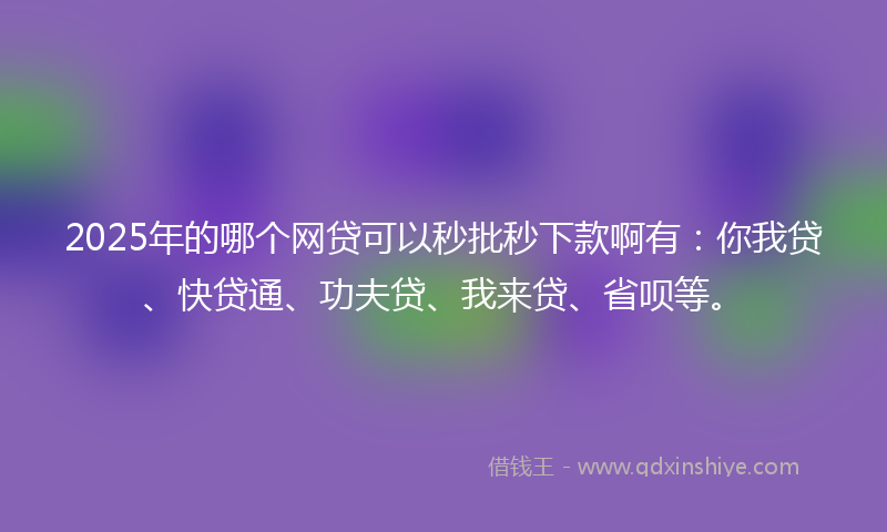 2025年的哪个网贷可以秒批秒下款啊有：你我贷、快贷通、功夫贷、我来贷、省呗等。