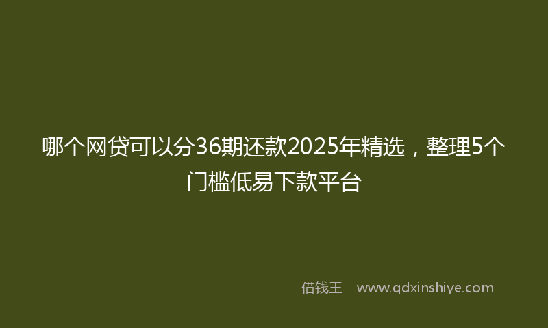 哪个网贷可以分36期还款2025年精选，整理5个门槛低易下款平台
