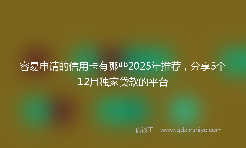 容易申请的信用卡有哪些2025年推荐，分享5个12月独家贷款的平台