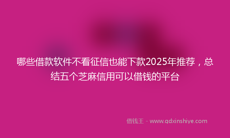 哪些借款软件不看征信也能下款2025年推荐，总结五个芝麻信用可以借钱的平台