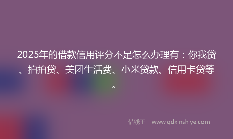 2025年的借款信用评分不足怎么办理有：你我贷、拍拍贷、美团生活费、小米贷款、信用卡贷等。