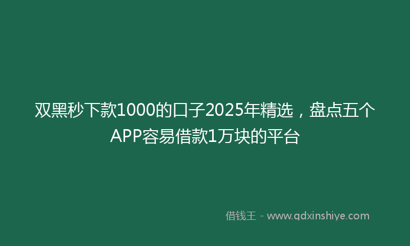 双黑秒下款1000的口子2025年精选，盘点五个APP容易借款1万块的平台