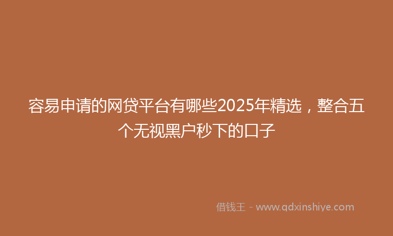 容易申请的网贷平台有哪些2025年精选，整合五个无视黑户秒下的口子