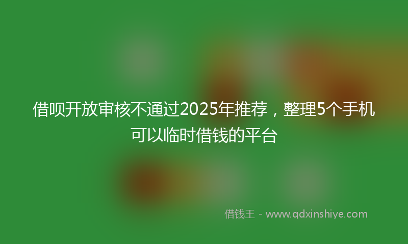 借呗开放审核不通过2025年推荐，整理5个手机可以临时借钱的平台