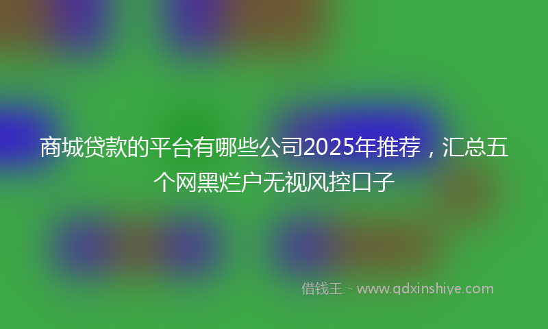 商城贷款的平台有哪些公司2025年推荐，汇总五个网黑烂户无视风控口子
