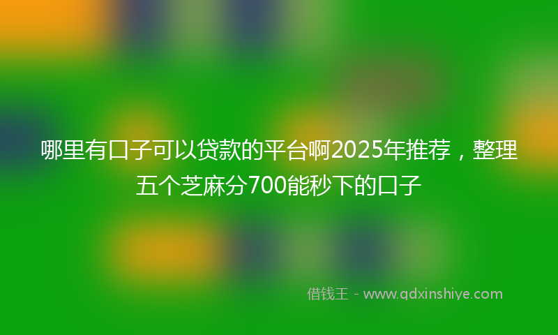 哪里有口子可以贷款的平台啊2025年推荐，整理五个芝麻分700能秒下的口子