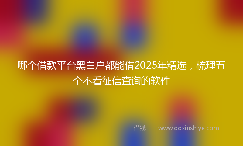 哪个借款平台黑白户都能借2025年精选，梳理五个不看征信查询的软件