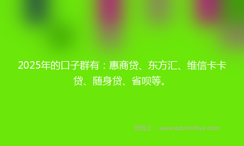 2025年的口子群有：惠商贷、东方汇、维信卡卡贷、随身贷、省呗等。
