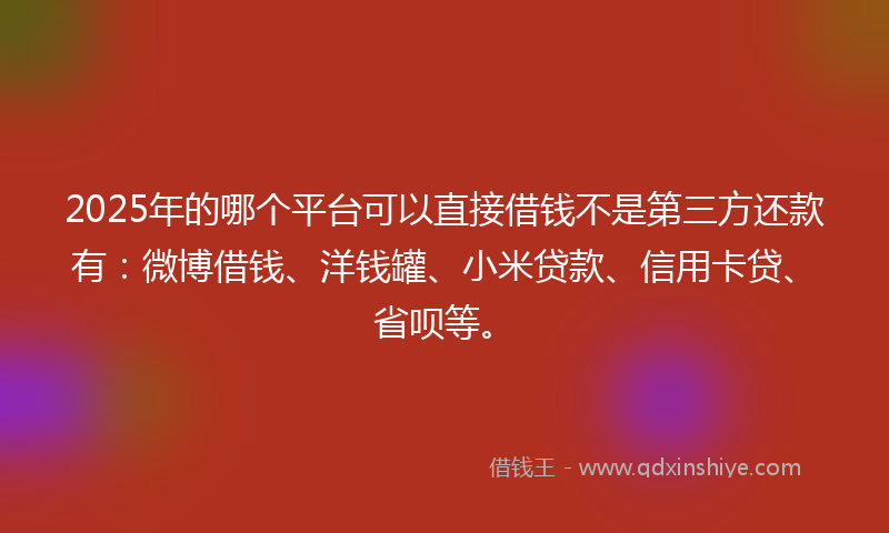 2025年的哪个平台可以直接借钱不是第三方还款有：微博借钱、洋钱罐、小米贷款、信用卡贷、省呗等。