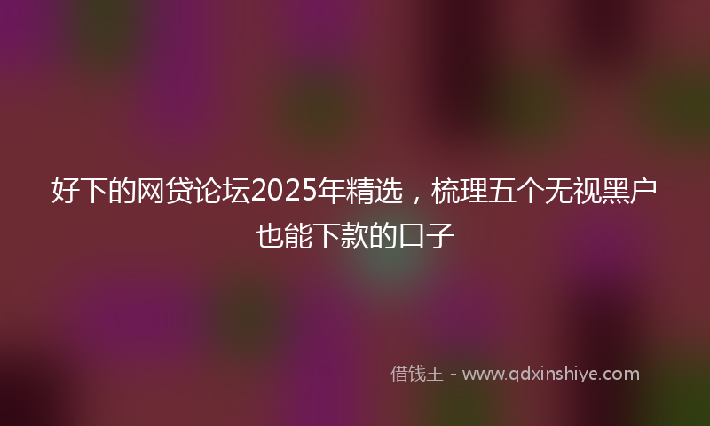 好下的网贷论坛2025年精选，梳理五个无视黑户也能下款的口子