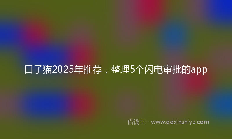 口子猫2025年推荐，整理5个闪电审批的app
