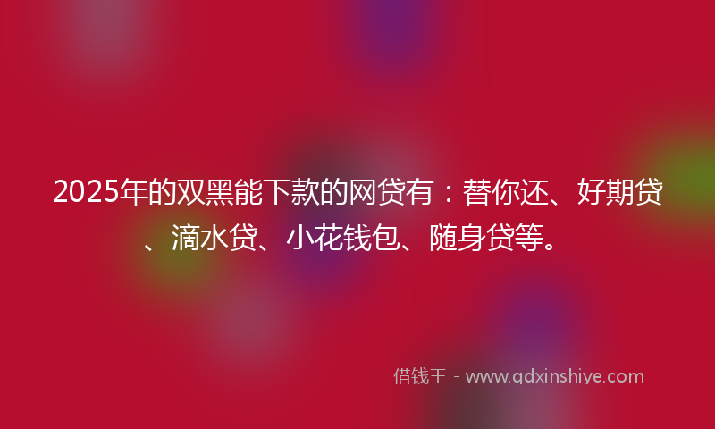 2025年的双黑能下款的网贷有：替你还、好期贷、滴水贷、小花钱包、随身贷等。