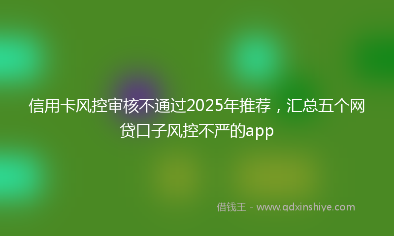 信用卡风控审核不通过2025年推荐，汇总五个网贷口子风控不严的app