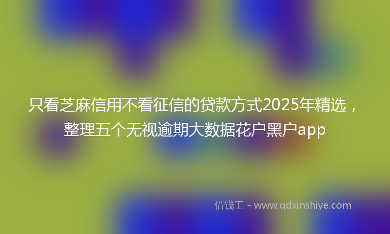 只看芝麻信用不看征信的贷款方式2025年精选，整理五个无视逾期大数据花户黑户app