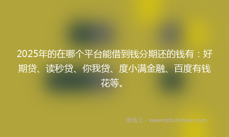 2025年的在哪个平台能借到钱分期还的钱有：好期贷、读秒贷、你我贷、度小满金融、百度有钱花等。