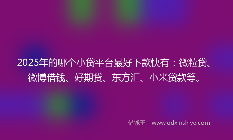 2025年的哪个小贷平台最好下款快有：微粒贷、微博借钱、好期贷、东方汇、小米贷款等。