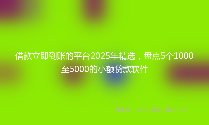 借款立即到账的平台2025年精选，盘点5个1000至5000的小额贷款软件