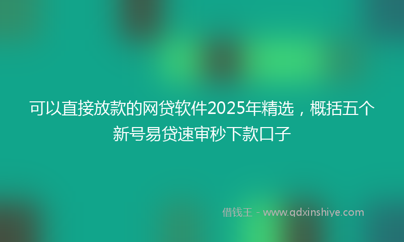 可以直接放款的网贷软件2025年精选，概括五个新号易贷速审秒下款口子