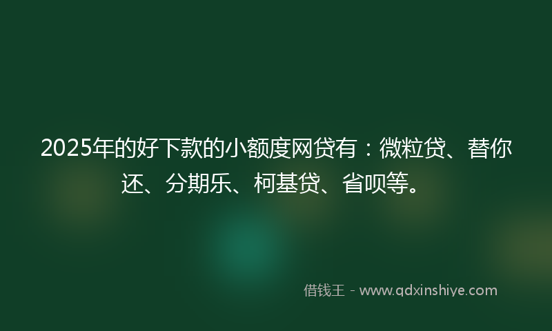 2025年的好下款的小额度网贷有：微粒贷、替你还、分期乐、柯基贷、省呗等。