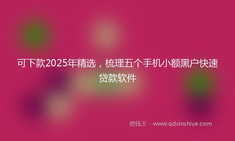 可下款2025年精选，梳理五个手机小额黑户快速贷款软件