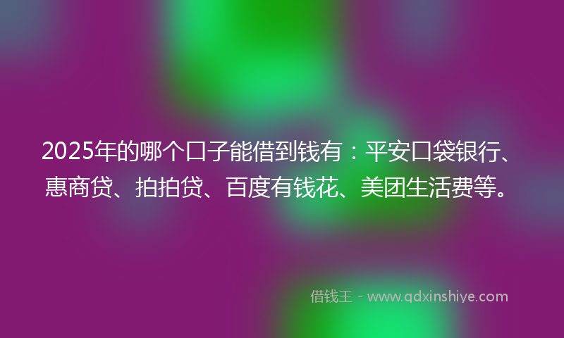 2025年的哪个口子能借到钱有：平安口袋银行、惠商贷、拍拍贷、百度有钱花、美团生活费等。