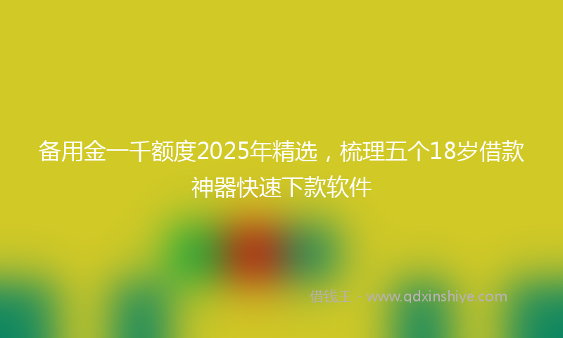 备用金一千额度2025年精选，梳理五个18岁借款神器快速下款软件
