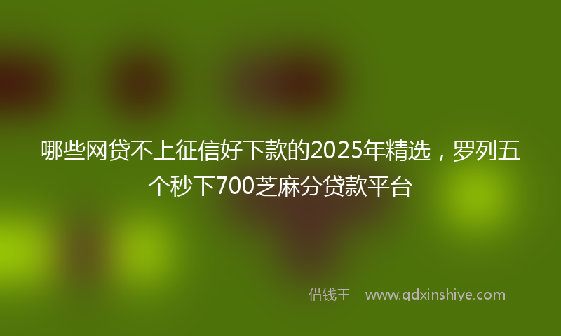 哪些网贷不上征信好下款的2025年精选，罗列五个秒下700芝麻分贷款平台