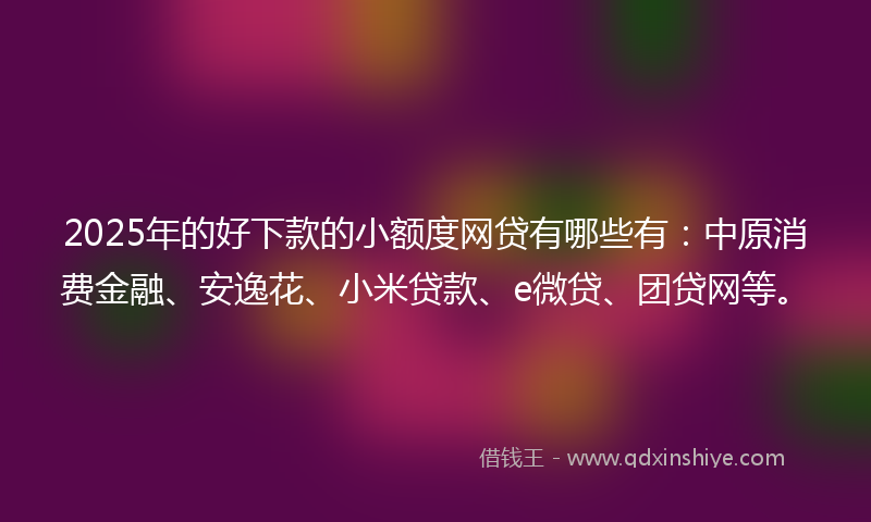 2025年的好下款的小额度网贷有哪些有：中原消费金融、安逸花、小米贷款、e微贷、团贷网等。