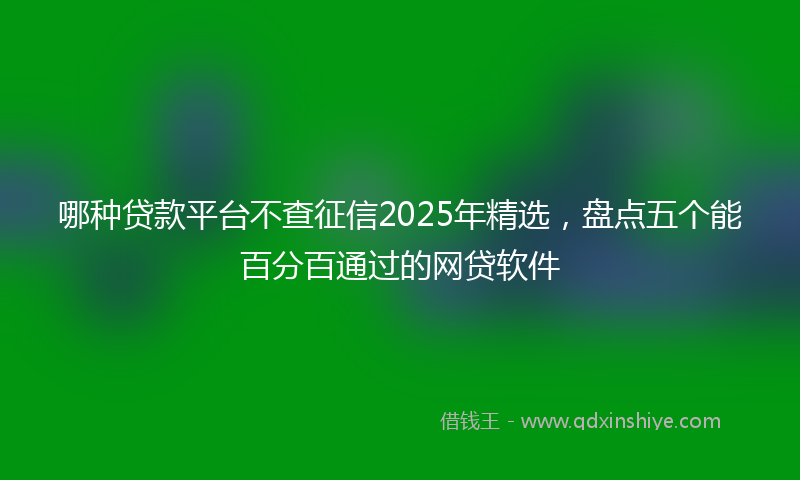 哪种贷款平台不查征信2025年精选，盘点五个能百分百通过的网贷软件