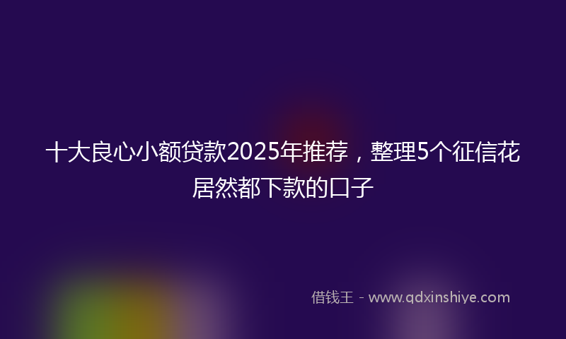 十大良心小额贷款2025年推荐，整理5个征信花居然都下款的口子