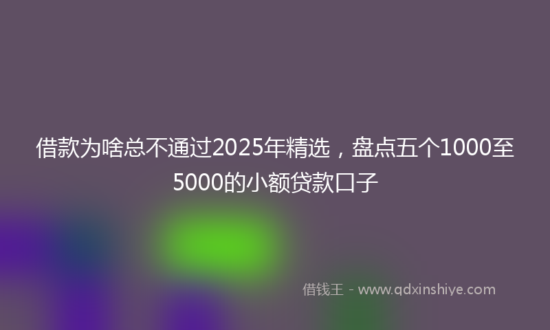 借款为啥总不通过2025年精选，盘点五个1000至5000的小额贷款口子