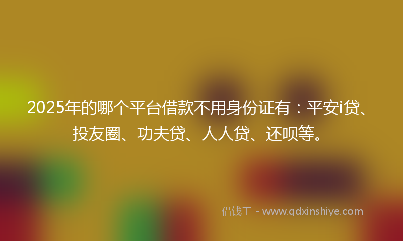 2025年的哪个平台借款不用身份证有：平安i贷、投友圈、功夫贷、人人贷、还呗等。