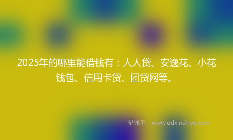 2025年的哪里能借钱有：人人贷、安逸花、小花钱包、信用卡贷、团贷网等。