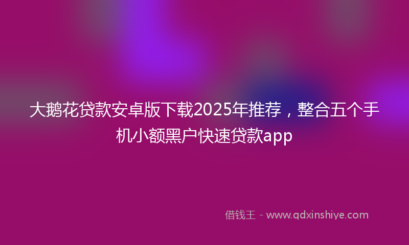 大鹅花贷款安卓版下载2025年推荐，整合五个手机小额黑户快速贷款app