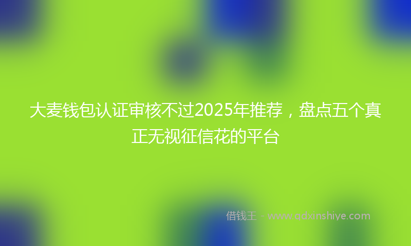 大麦钱包认证审核不过2025年推荐，盘点五个真正无视征信花的平台
