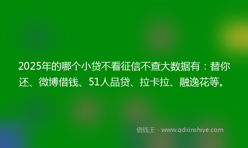 2025年的哪个小贷不看征信不查大数据有：替你还、微博借钱、51人品贷、拉卡拉、融逸花等。