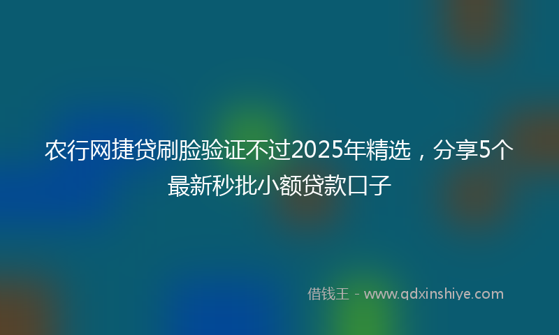 农行网捷贷刷脸验证不过2025年精选，分享5个最新秒批小额贷款口子