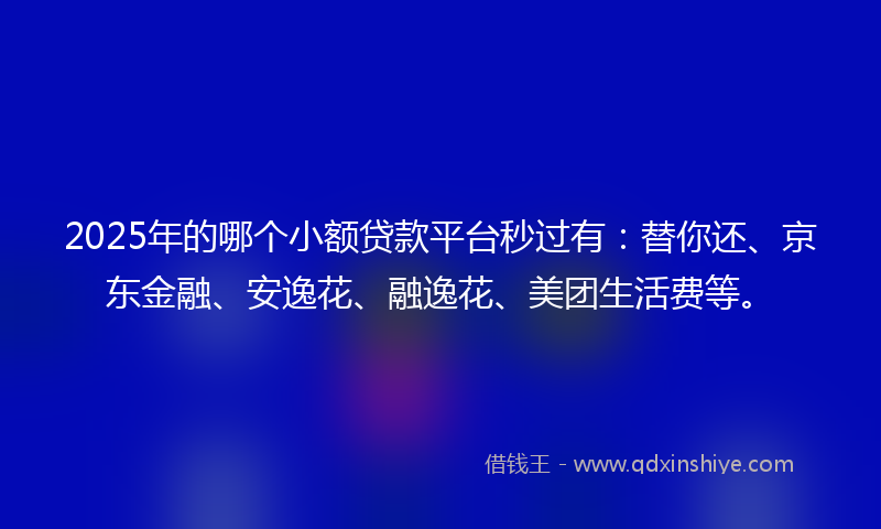 2025年的哪个小额贷款平台秒过有：替你还、京东金融、安逸花、融逸花、美团生活费等。