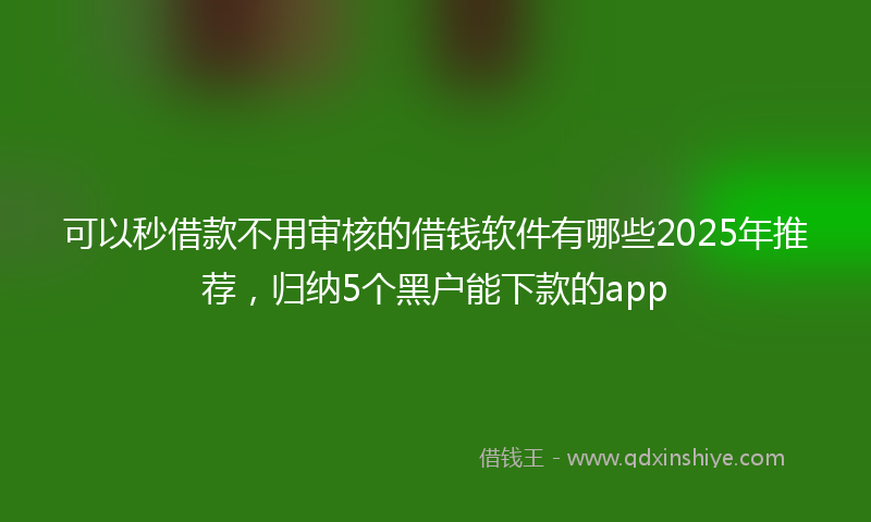 可以秒借款不用审核的借钱软件有哪些2025年推荐，归纳5个黑户能下款的app