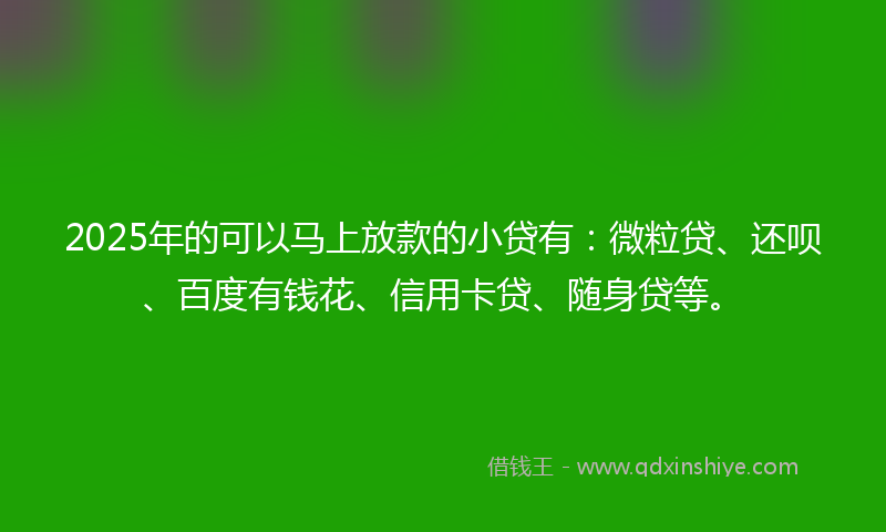 2025年的可以马上放款的小贷有：微粒贷、还呗、百度有钱花、信用卡贷、随身贷等。